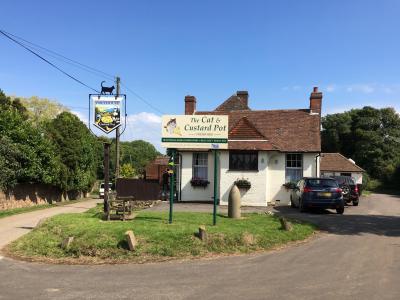 Cat & Custard Pot - Paddlesworth