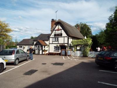 Oak - Aston Clinton
