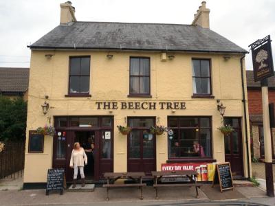 Beech Tree - St Mary Cray