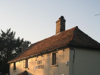 Plough - Coton