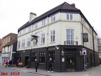 Golden Fleece