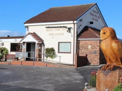 Barn Owl - Agden Wharf