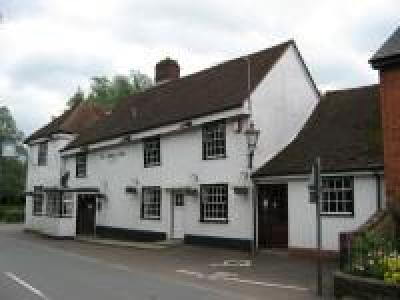 Swan - Chappel