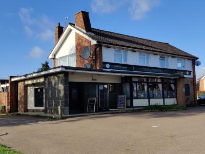 Silver Oyster - Colchester