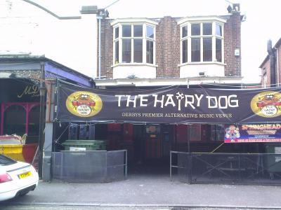 Hairy Dog, Derby