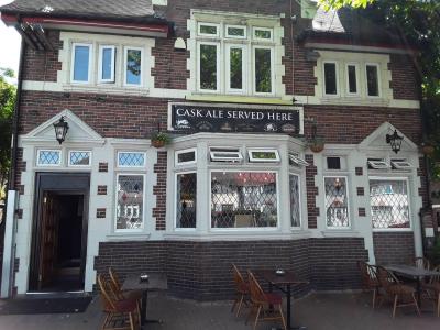 Laurel Tree - Dudley