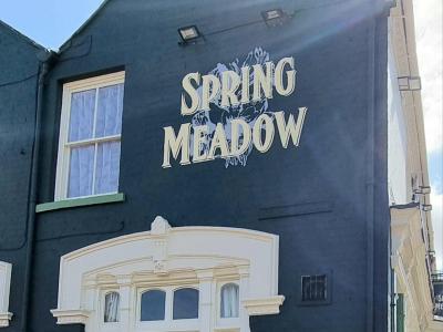 Spring Meadow - Old Hill