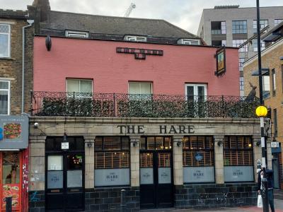 Hare