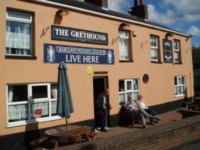 Greyhound