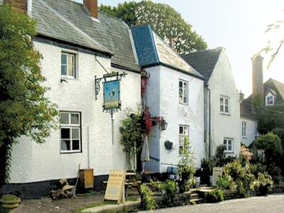 Ostrich - Newland