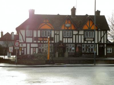Bull - Greenhithe