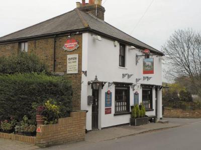 Lamb - Swanley