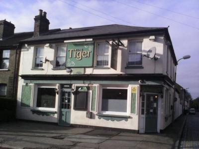 Tiger - Dartford