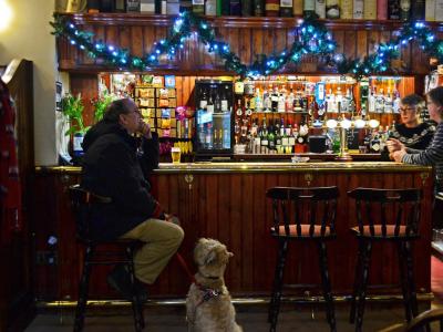 At the Bar