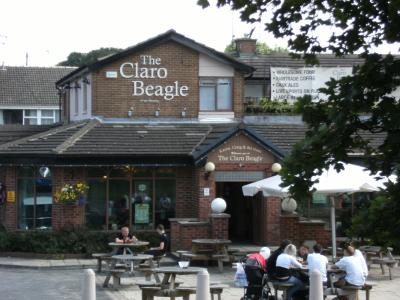 Claro Beagle - Harrogate