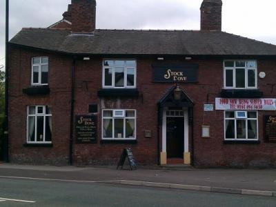 Stock Dove - Romiley