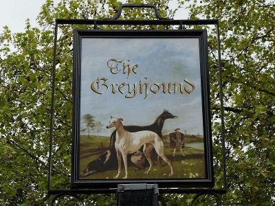 Greyhound