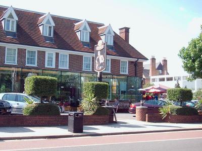 Alexander Pope, Twickenham