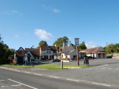 Leopard - Bishops Tachbrook
