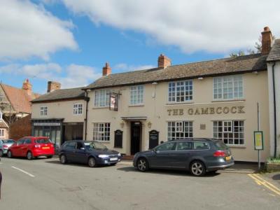 Gamecock - Harbury