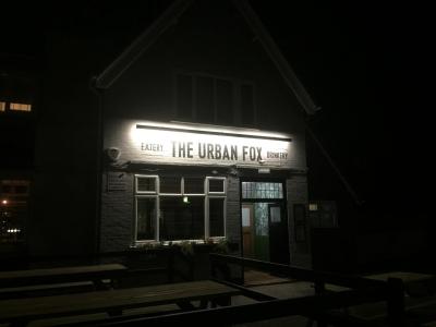 Urban Fox - Leamington Spa