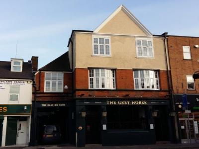 Grey Horse - Kingston