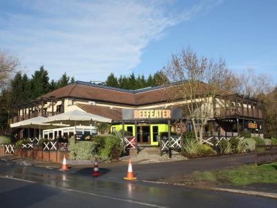 Monkey Puzzle - Chessington