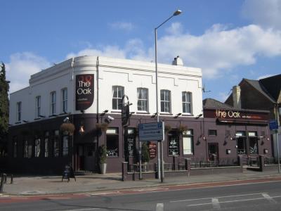 Oak - Kingston