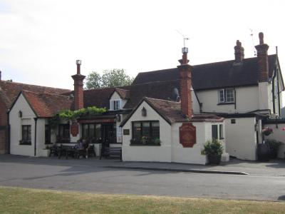 Running Mare - Cobham