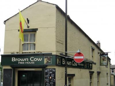 Brown Cow