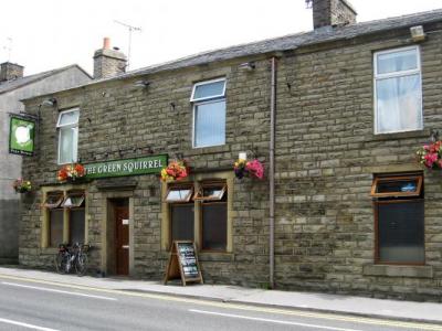 Green Squirrel - Haslingden
