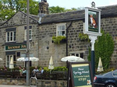 Roundhay Fox - Leeds