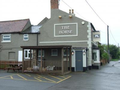 Horse - Shepshed