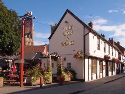 Lion & Snake