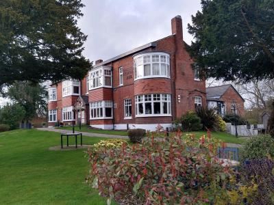 Honey Bee - Wilmslow