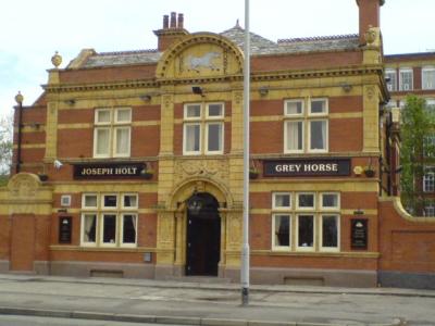 Grey Horse - Reddish