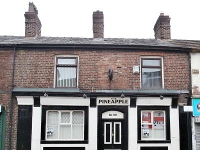 Pineapple