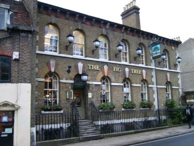 Fig Tree - Uxbridge