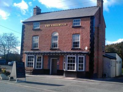 Abermule Inn - Abermule