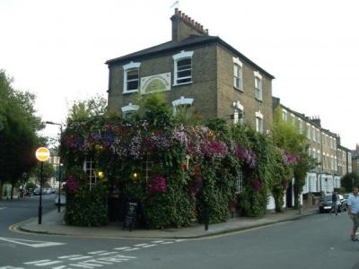 Faltering Fullback - Finsbury Park