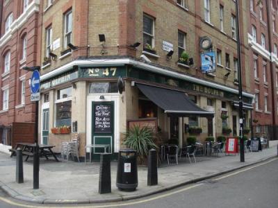 Dolphin - London