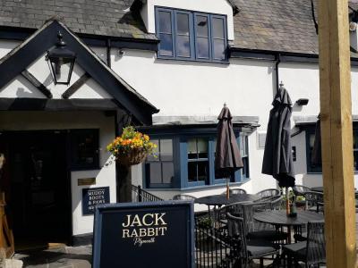 Jack Rabbit