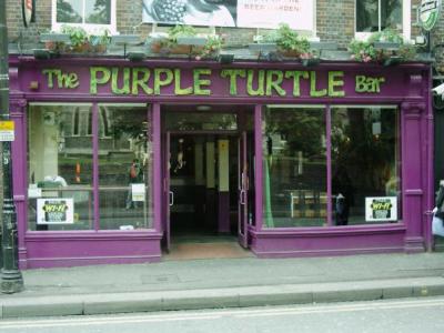 Purple Turtle - Reading