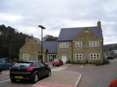 Kingfisher - Greenfield