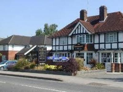 Pheasant - Winnersh