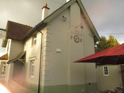 Golden Fox - Sturminster Marshall