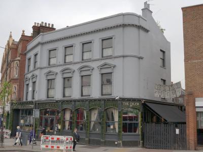 Tiger - Camberwell