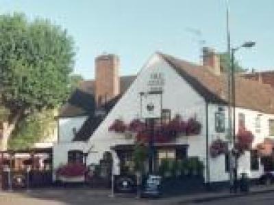 Old Cock