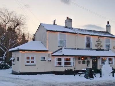 Silver Fox - Hertford Heath