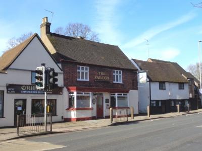 Falcon at Park Street